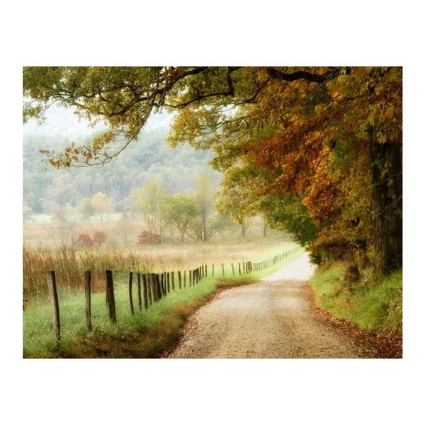 Obraz DecoMalta Autumn, 80 x 60 cm