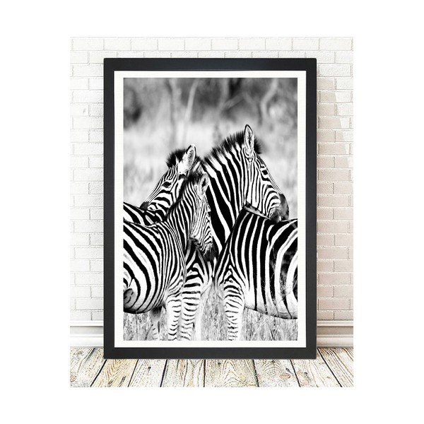 Maalimine Sebrad, 24 x 29 cm Brighton Zebras - Tablo Center-image-1