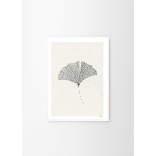 Plakat 50x70 cm Ginkgo Leaf – Ana Frois - The Plakat Club-image-4