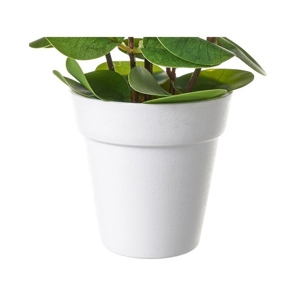 Kunstlill - Casa Selección-image-1