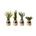 Kunsttaimed 4 tk komplektis (kõrgus 18 cm) Cactus – Casa Selección