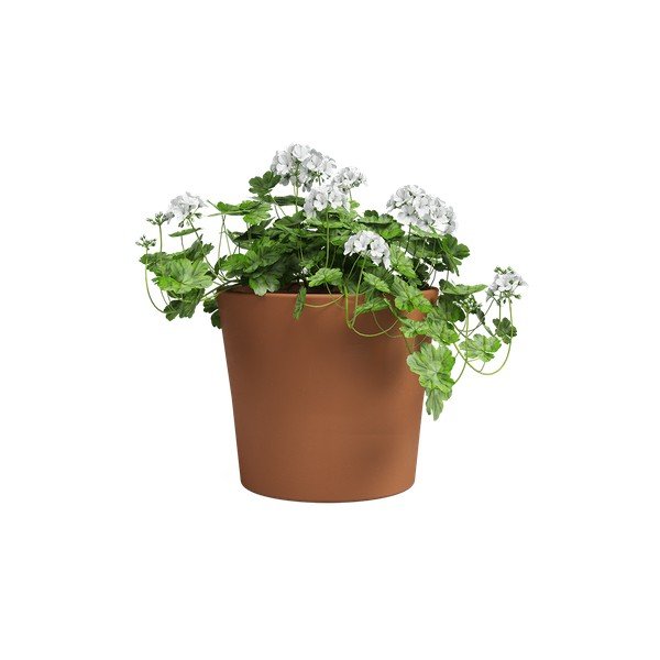 Terrakotta lillepott ø 39 cm Manuel - Artevasi-image-2