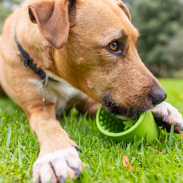 Lakkumiskauss Yoggie Pot Green – LickiMat-image-4