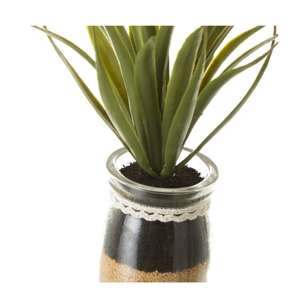 Kunsttaimed 4 tk komplektis (kõrgus 18 cm) Cactus – Casa Selección-image-2