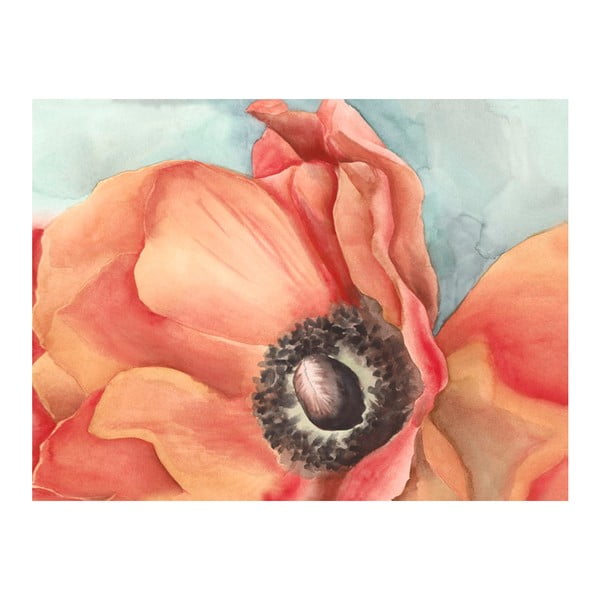 Obraz DecoMalta Detail Poppies, 65 x 50 cm