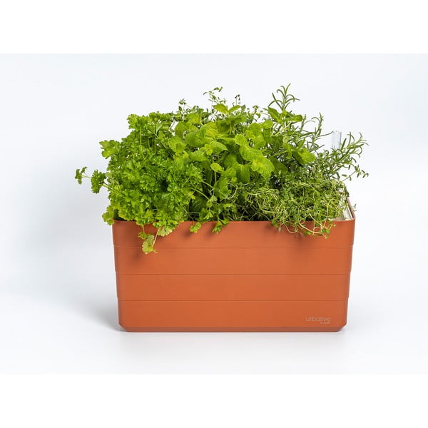 Plastikust isekastev taimekast 39,5 cm Berberis – Plastia-image-1