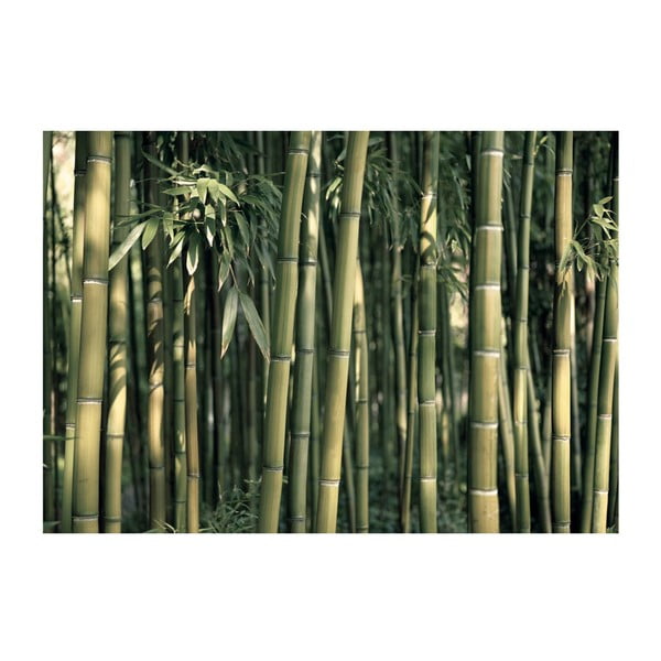 Suureformaadiline tapeet , 200 x 140 cm Bamboo Exotic - Artgeist