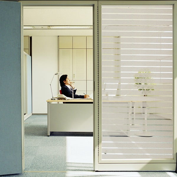 Kaitsekilega mattklaasist kleebis, pikkus 2 m - Ambiance-image-4