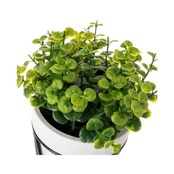 Kunstlikud taimed komplektis 4 - Casa Selección-image-2