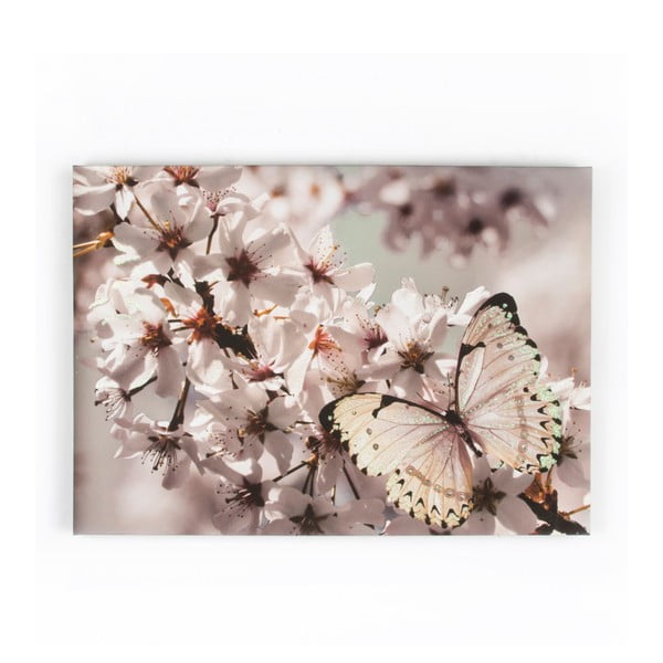 Obraz Graham & Brown Butterfly Branch, 70 x 50 cm