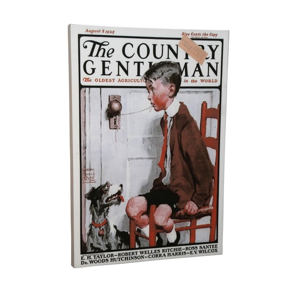 Plátno The Country Gentleman, 50x70 cm