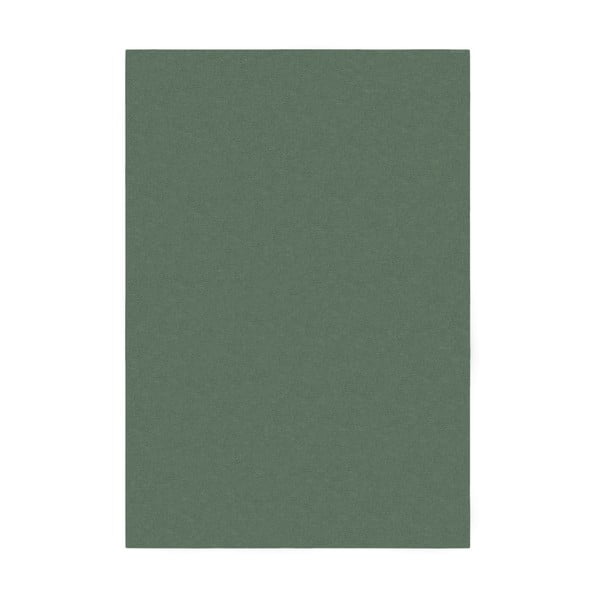 Roheline vaip 120x170 cm - Flair Rugs