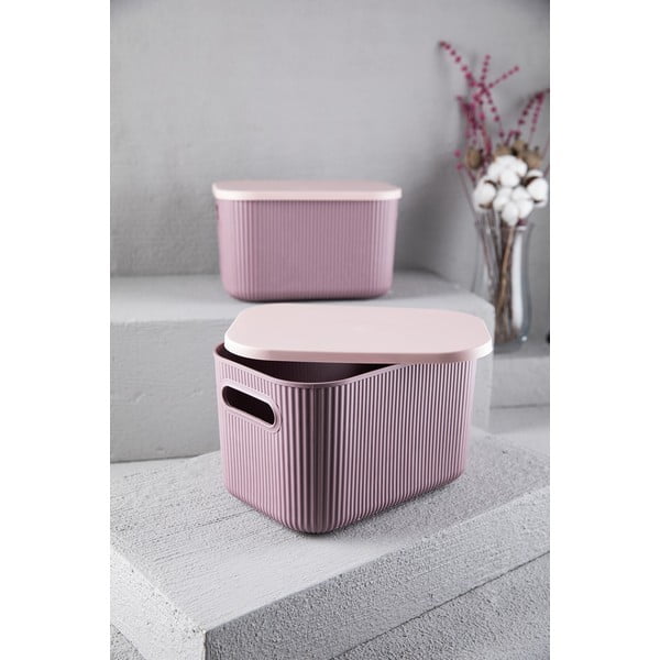 Kaanega plastist hoiukarp - Mioli Decor-image-2