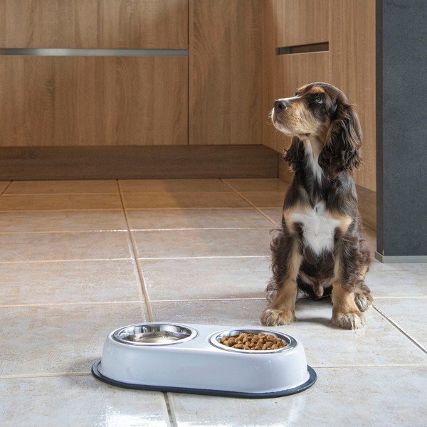 Plastmass kausside komplekt koos alusega Shiny – Love Story-image-1