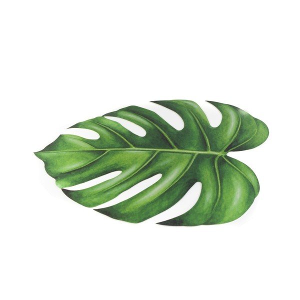 Monstera lehekujuline platsialus - Really Nice Things-image-1