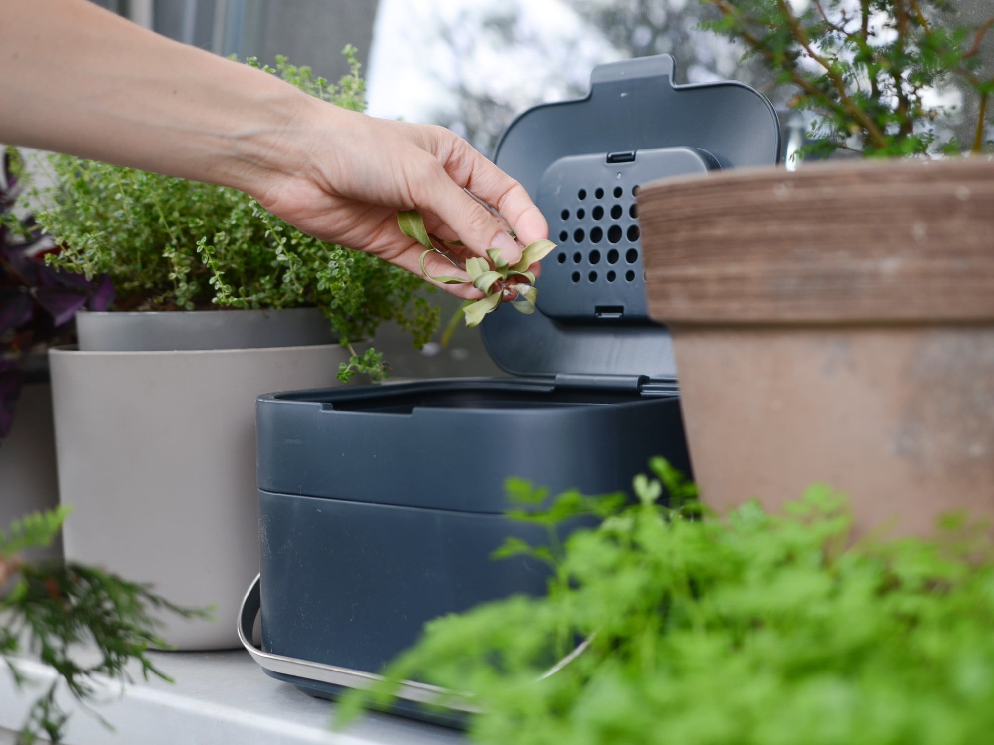 Väike komposteerija, mis tuleb korteris kindlasti kasuks.