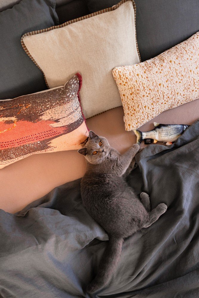 Inspiratsioon: Bonami külaskäigud