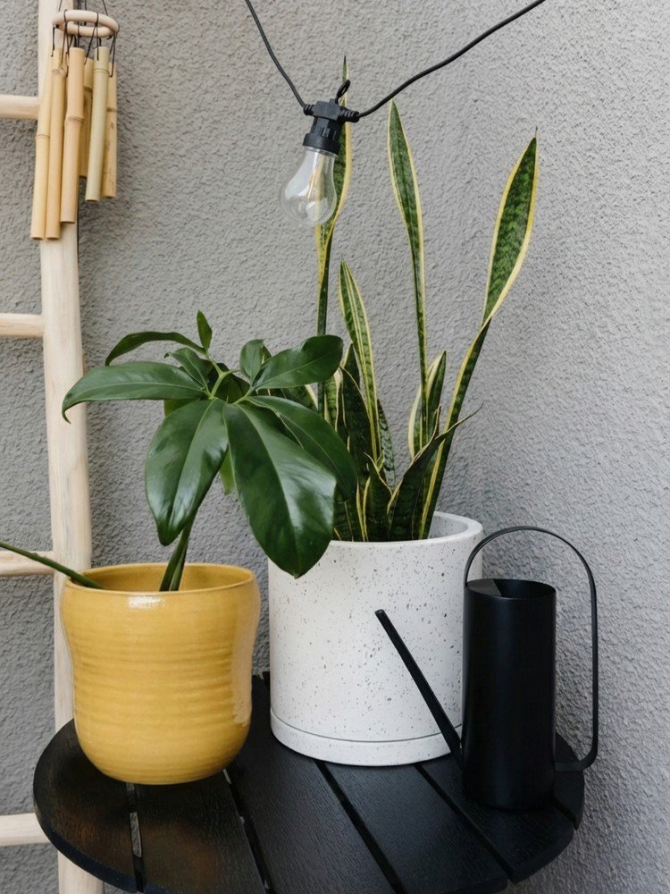 Inspiratsioon: Rõdu ja terrass, Aed, Aiad