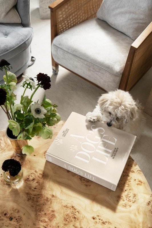 Inspiratsioon: Premium kaubamärgid, Lemmikloomad