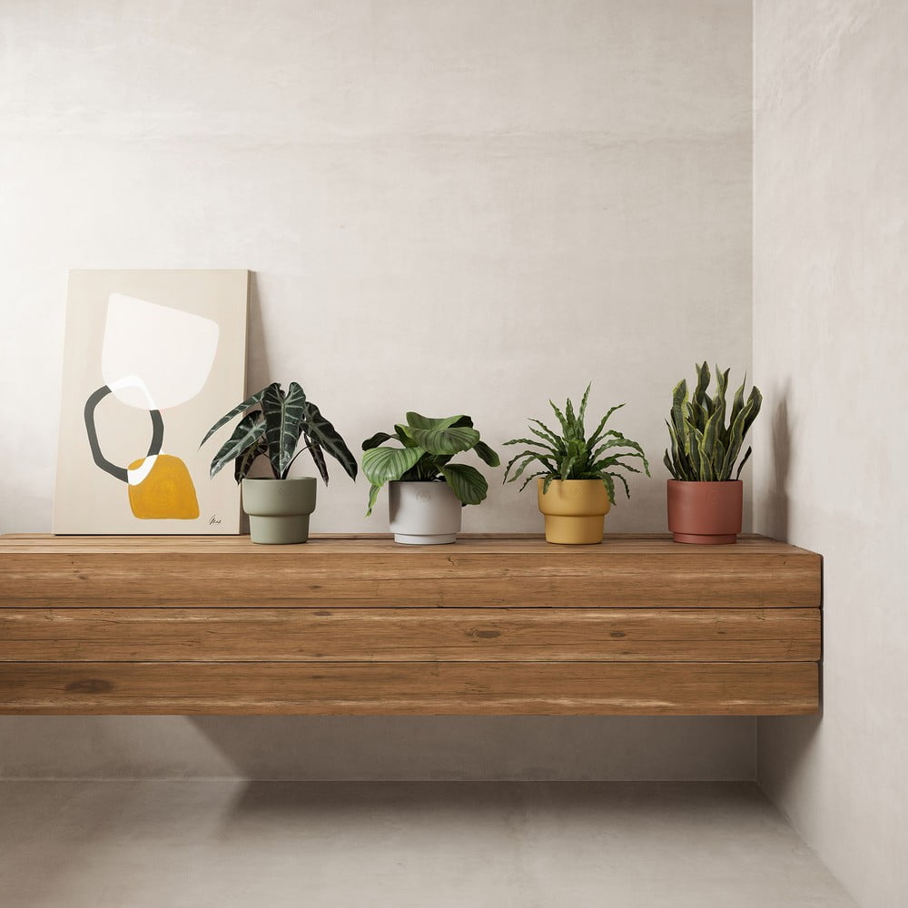 Inspiratsioon: Dekoratsioon, Kaunistamine