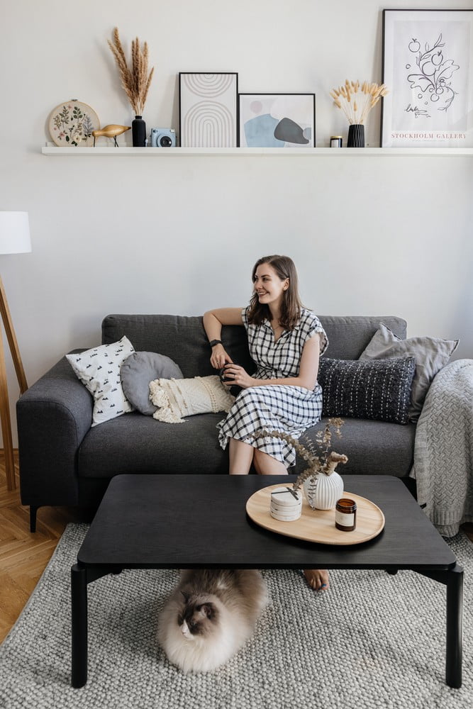 Inspiratsioon: Elutuba, Skandinaavia stiil