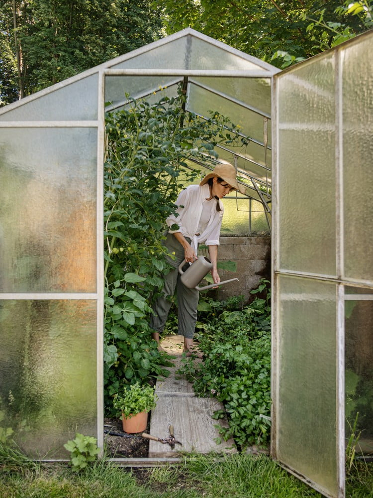 Inspiratsioon: Aiad, Aed