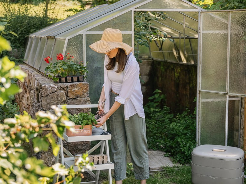 Inspiratsioon: Aiad, Aed