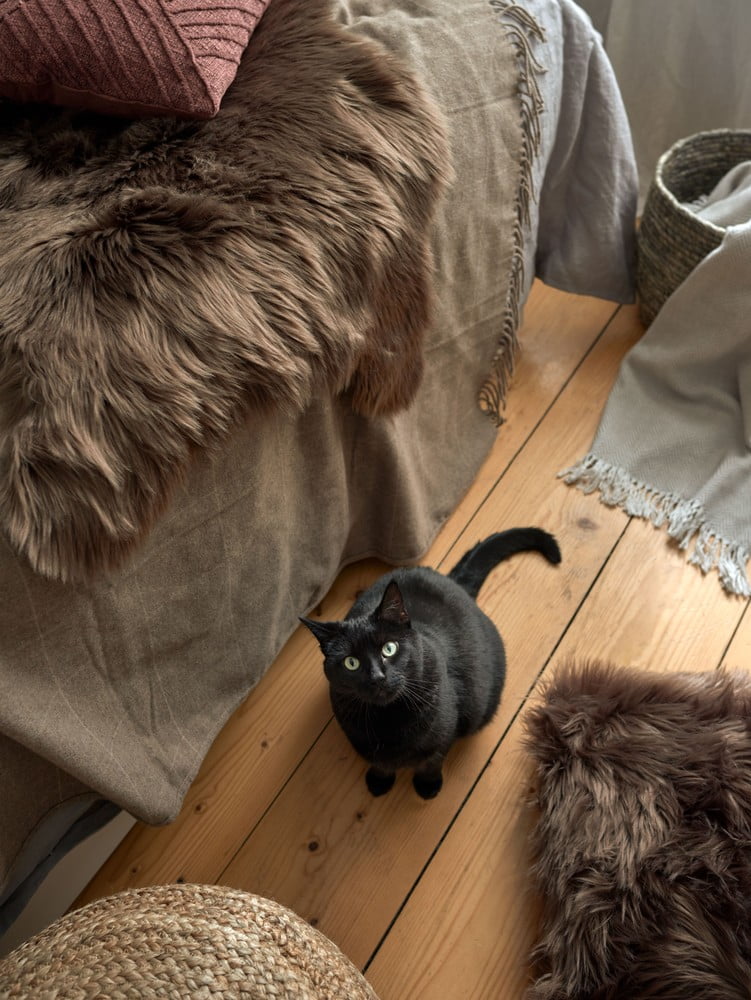 Inspiratsioon: Magamistuba