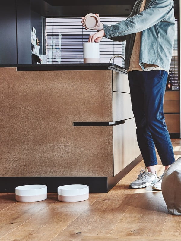 Inspiratsioon: Skandinaavia stiil, Lemmikloomad