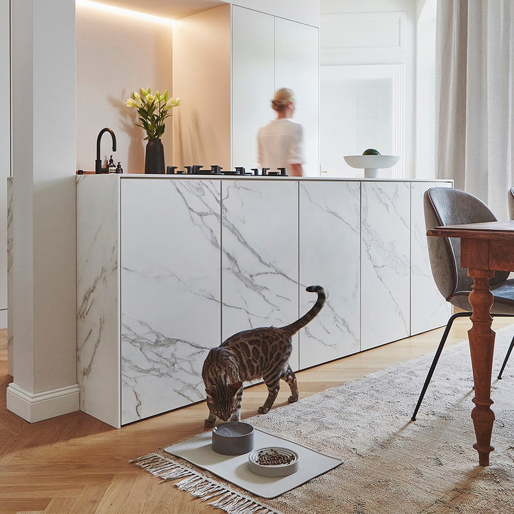 Inspiratsioon: Lemmikloomad