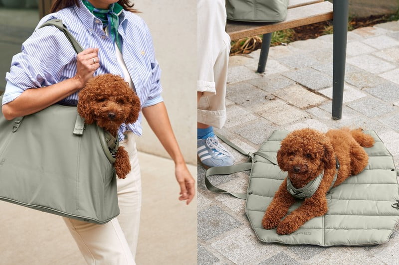 Inspiratsioon: Lemmikloomad