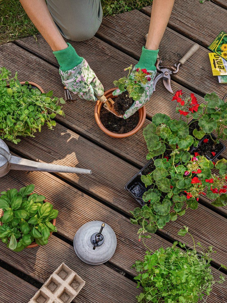 Inspiratsioon: Aed, Aiad