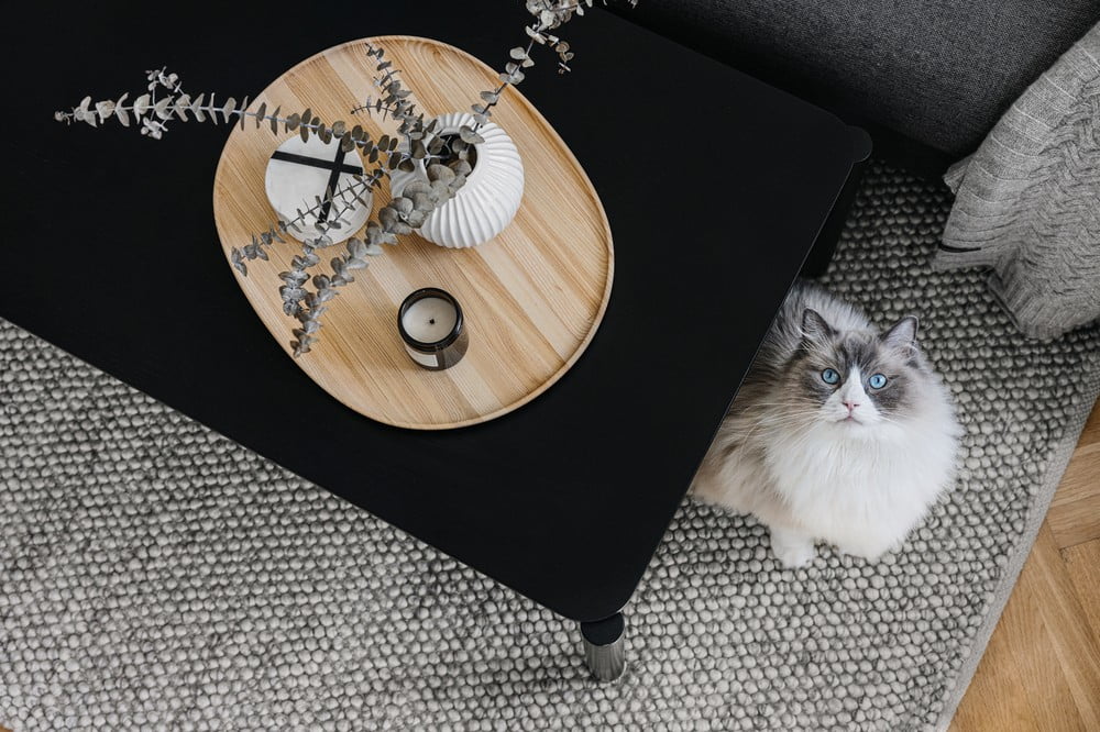 Inspiratsioon: Elutuba, Skandinaavia stiil