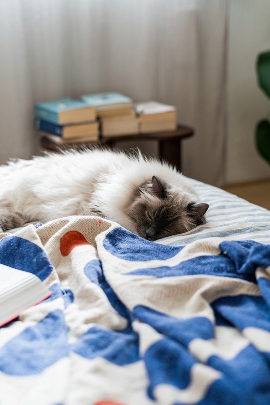 Inspiratsioon: Kaunistamine, Dekoratsioon