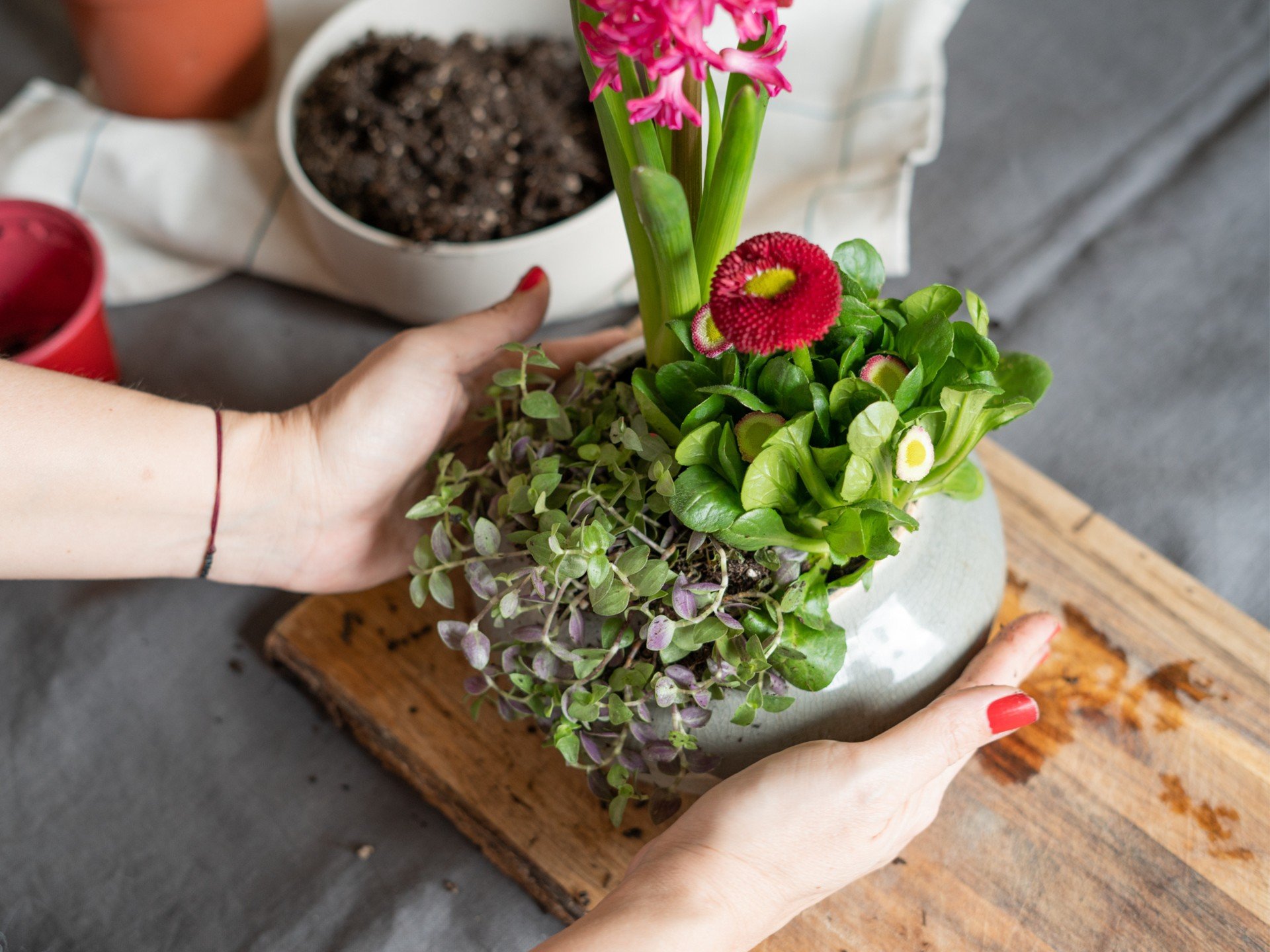 Sibul- ja õistaimedest valmistatud kevadkaunistused