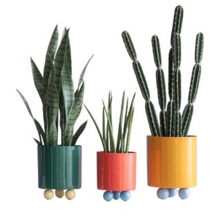 Lilled ja lillepotid