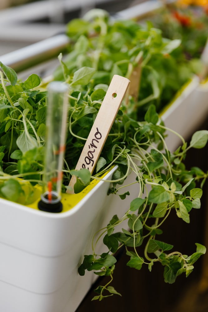 Inspiratsioon: Rõdu ja terrass