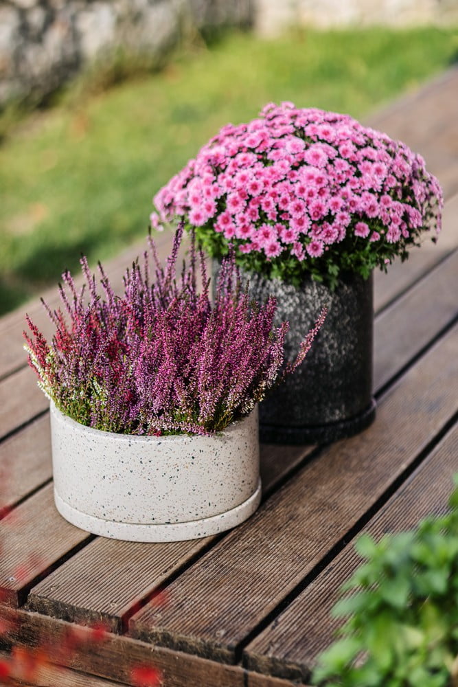 Inspiratsioon: Aed, Aiad, Rõdu ja terrass, Rustikaalne stiil