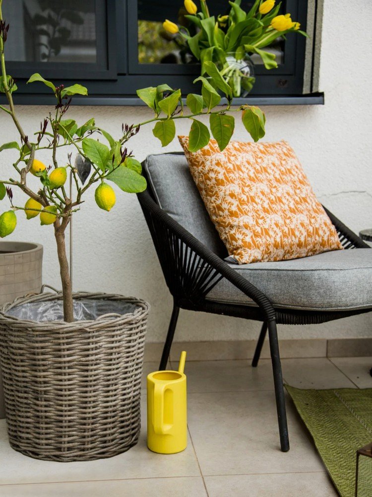 Inspiratsioon: Rõdu ja terrass, Aed, Aiad