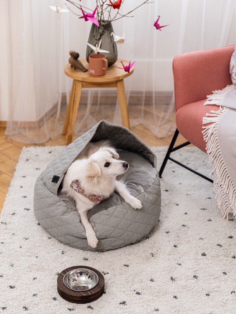 Inspiratsioon: Valentini päev, Valentinipäev