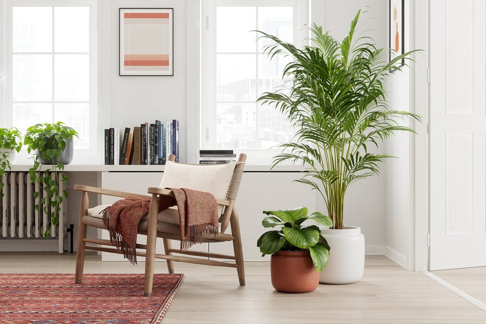 Inspiratsioon: Dekoratsioon, Kaunistamine