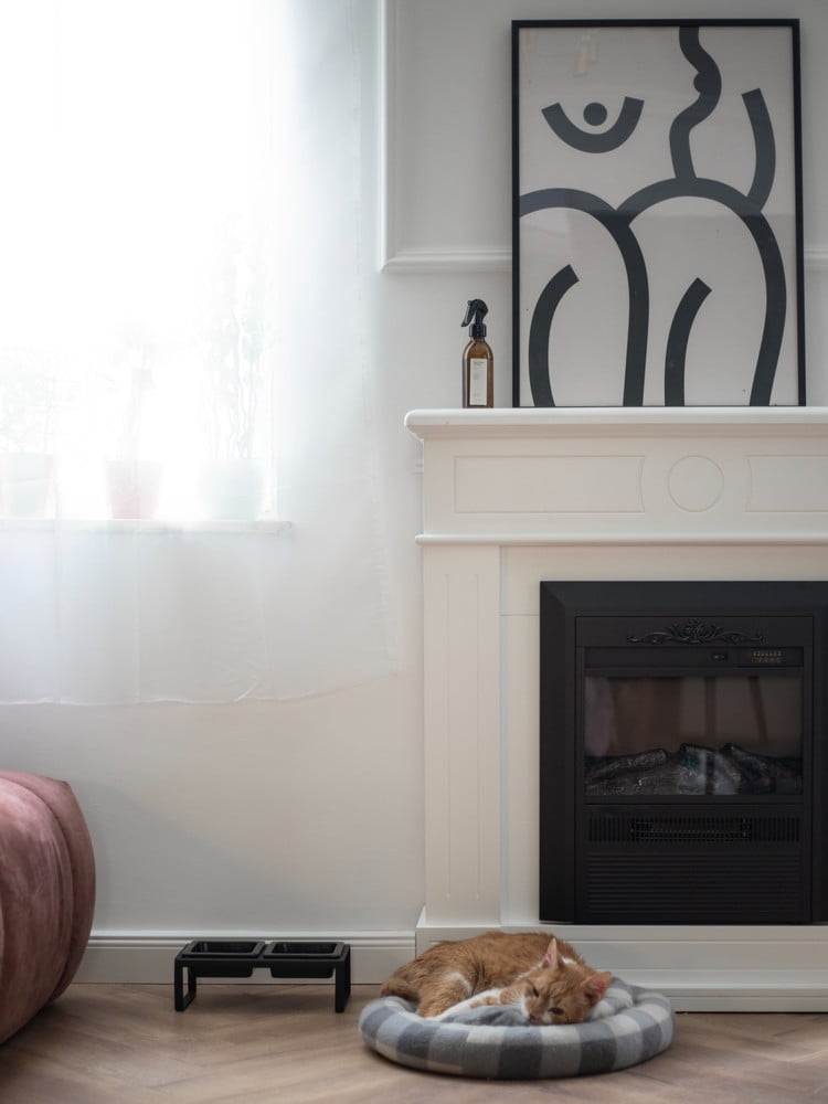 Inspiratsioon: Elutuba