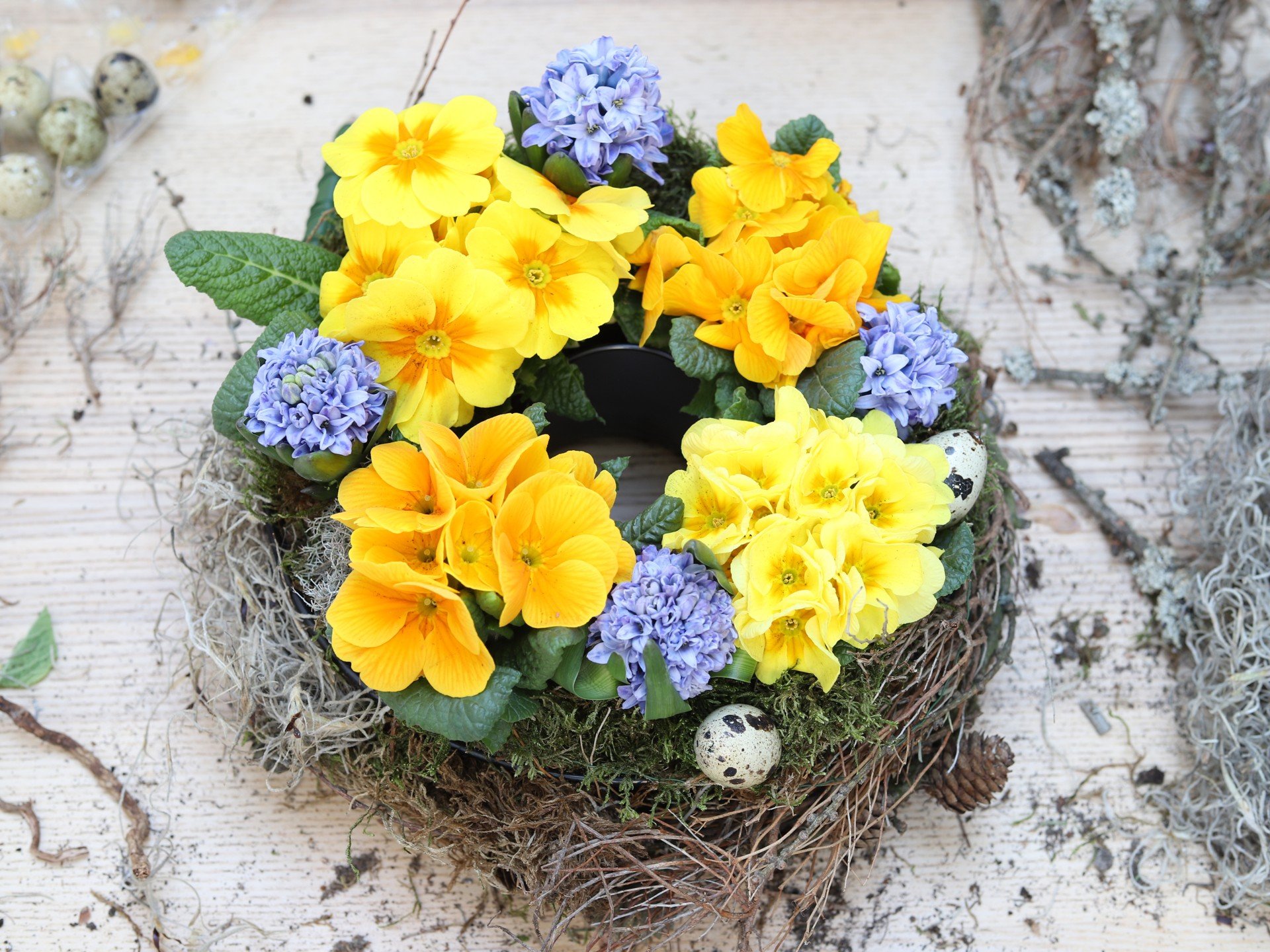 Värviline lauapärg kevadistest potitaimedest.