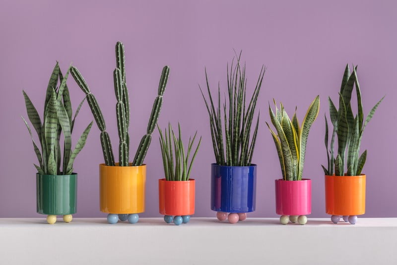 Inspiratsioon: Kaunistamine, Dekoratsioon