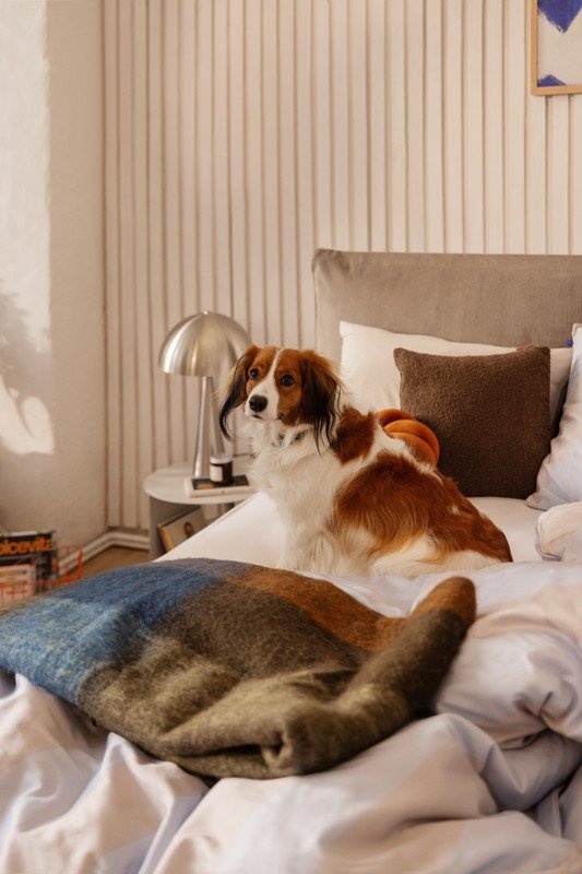 Inspiratsioon: Magamistuba