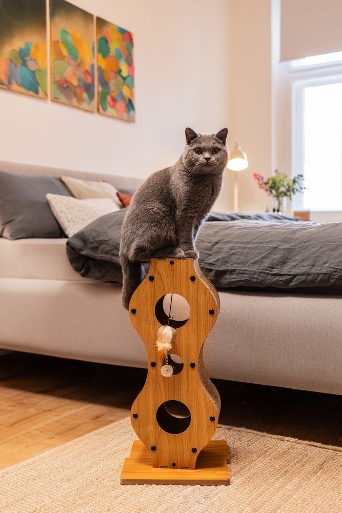 Inspiratsioon: Bonami külaskäigud