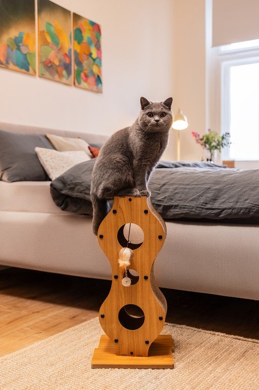 Inspiratsioon: Bonami külaskäigud