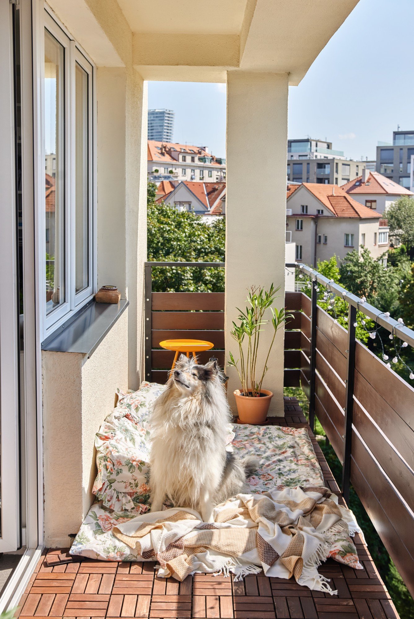 Lõõgastusnurk, mis sobib ka Sinu lemmikloomale? Välimadrats, paar patja ja pehme tekk.