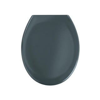 Lihtsalt eemaldatavad WC-istmed