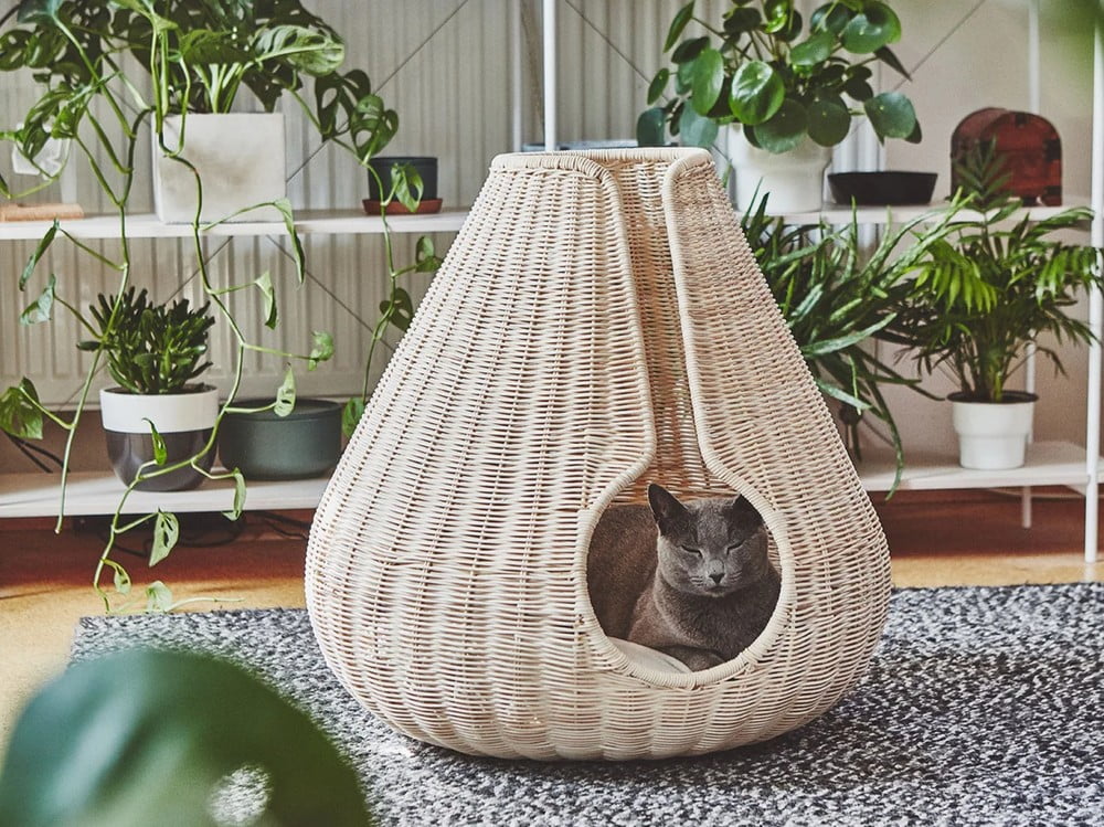 Inspiratsioon: Lemmikloomad